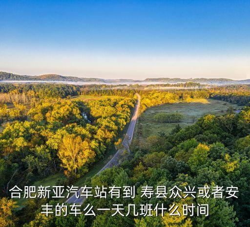 合肥新亚汽车站有到 寿县众兴或者安丰的车么一天几班什么时间