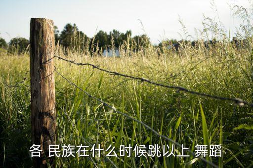 各 民族在什么时候跳以上 舞蹈