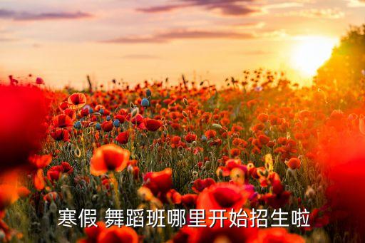  寒假 舞蹈班哪里开始招生啦