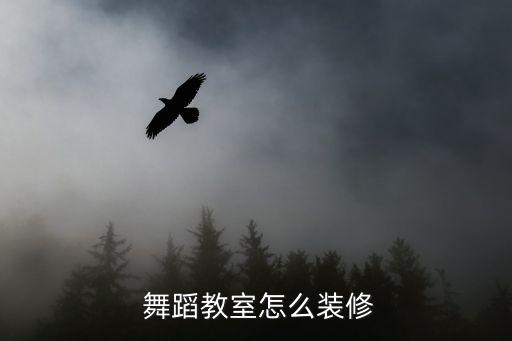 标准舞蹈室,芭蕾课室内舞蹈手柄高度可调节