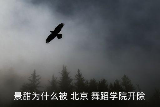 景甜为什么被 北京 舞蹈学院开除