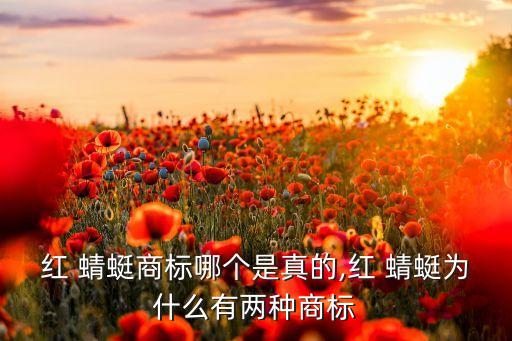 红 蜻蜓商标哪个是真的,红 蜻蜓为什么有两种商标