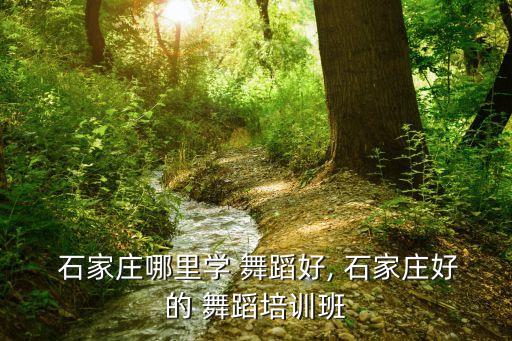  石家庄哪里学 舞蹈好, 石家庄好的 舞蹈培训班