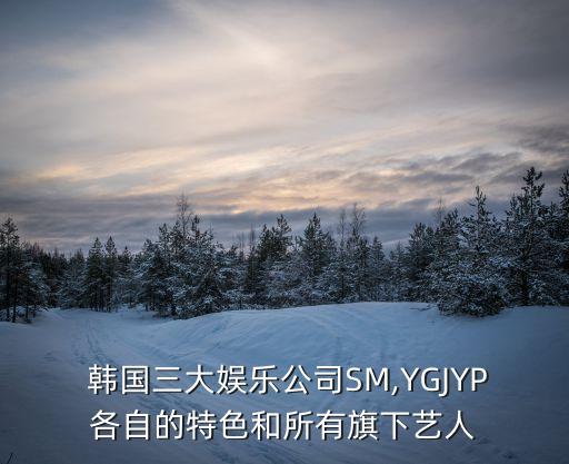韩国企业舞蹈,韩国最强创意团队推出两个组合来自东南亚