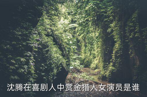 中国好舞蹈 张洪艺,中国芭蕾舞蹈女将