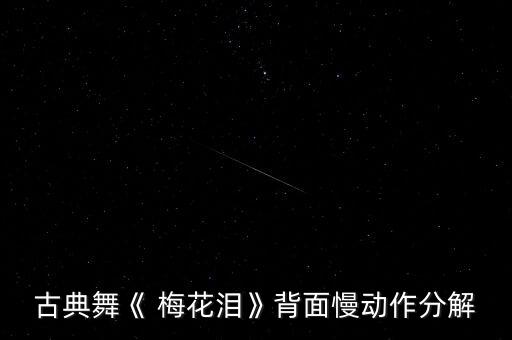 古典舞《 梅花泪》背面慢动作分解