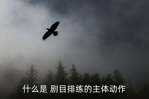 什么是 剧目排练的主体动作