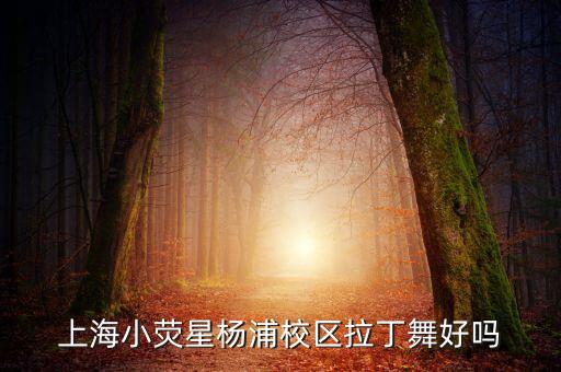 上海小荧星杨浦校区拉丁舞好吗
