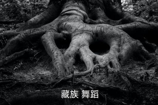  藏族 舞蹈