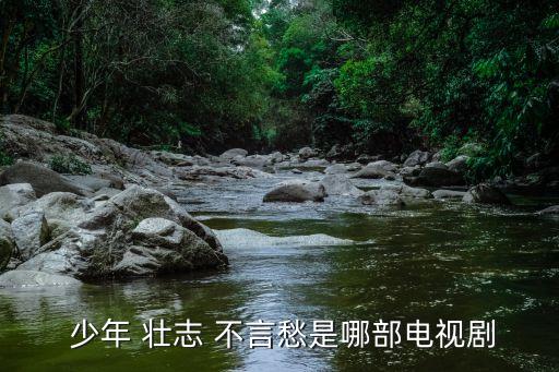  少年 壮志 不言愁是哪部电视剧