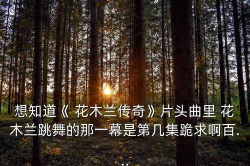 想知道《 花木兰传奇》片头曲里 花木兰跳舞的那一幕是第几集跪求啊百...