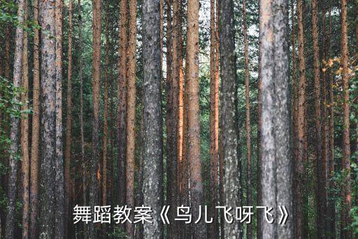 舞蹈教案《鸟儿飞呀飞》