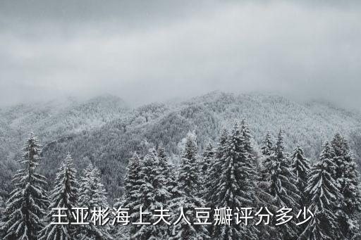  王亚彬海上夫人豆瓣评分多少