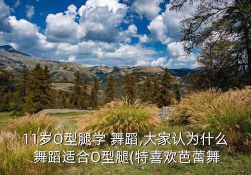 11岁O型腿学 舞蹈,大家认为什么 舞蹈适合O型腿(特喜欢芭蕾舞