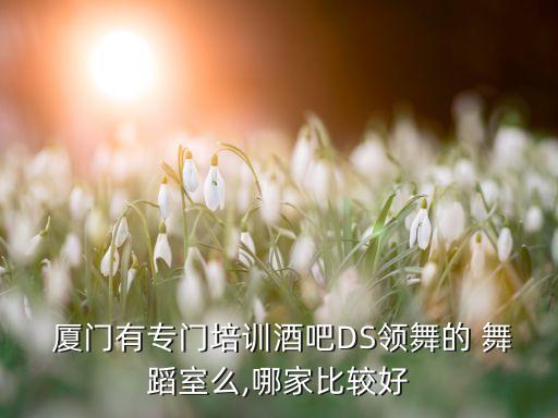  厦门有专门培训酒吧DS领舞的 舞蹈室么,哪家比较好