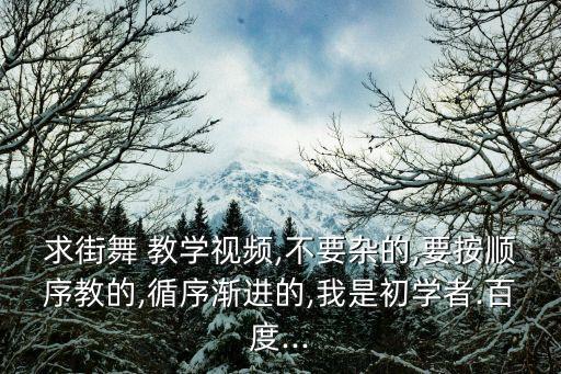 求街舞 教学视频,不要杂的,要按顺序教的,循序渐进的,我是初学者.百度...
