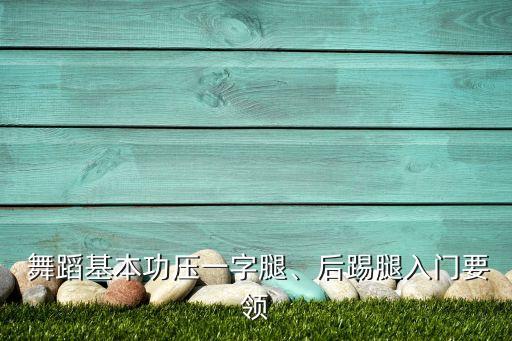 初学者舞蹈需要注意事项,快餐时代舞蹈基本功一夜之间逐步提高