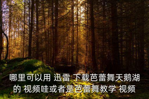 哪里可以用 迅雷 下载芭蕾舞天鹅湖的 视频哇或者是芭蕾舞教学 视频