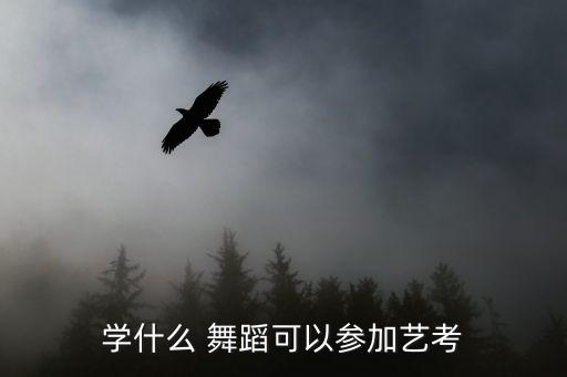 高考舞蹈有哪些,舞蹈证书可加分吗?可以这样做吗?