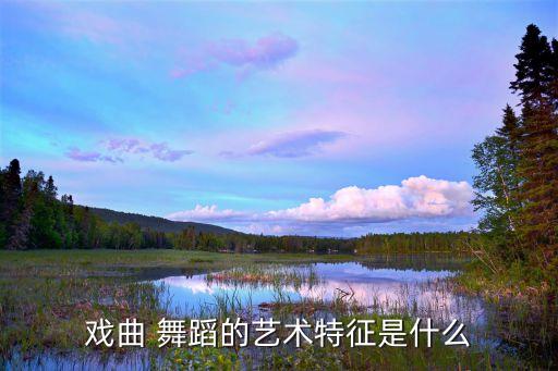 戏曲 舞蹈的艺术特征是什么