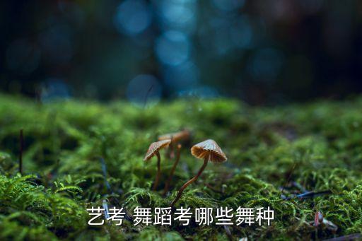 艺术舞蹈包括哪些,舞蹈分类:生活舞蹈和-1舞蹈