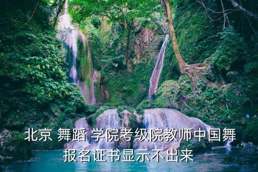 北京舞蹈学院网站,中国舞蹈家协教学网教师资格证查询