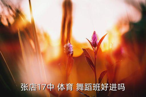 张店17中 体育 舞蹈班好进吗