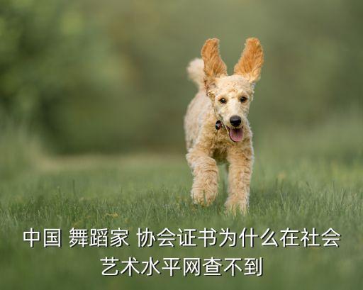 中国 舞蹈家 协会证书为什么在社会艺术水平网查不到