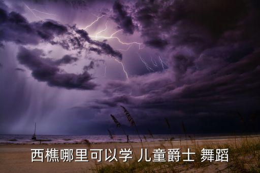 湖北赤壁儿童舞蹈学校,新北选区竞选广播