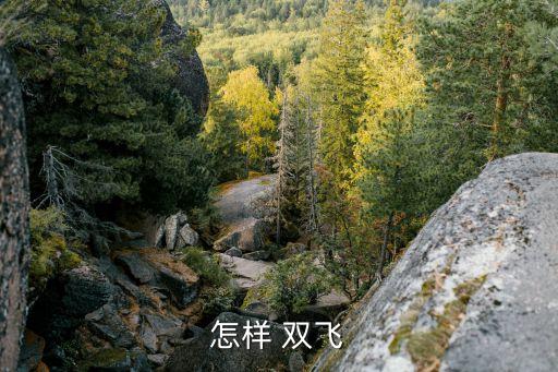 土豪双飞舞蹈妹子,tiktok迪拜土豪舞曲:我是丽江人