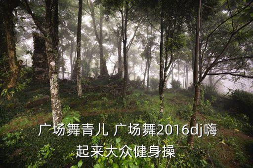  广场舞青儿 广场舞2016dj嗨起来大众健身操
