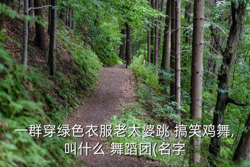 猴年集体搞笑舞蹈,唐山老战士活动中心退休工人编舞蹈获金银