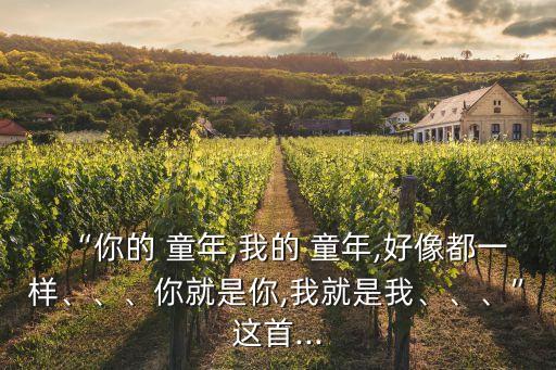 “你的 童年,我的 童年,好像都一样、、、你就是你,我就是我、、、”这首...