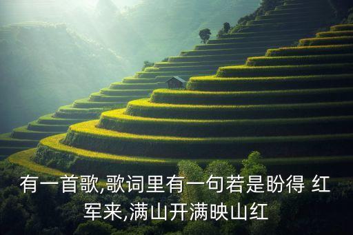 盼红军红军舞蹈女独舞,红军到处盛开三月桃花红如海
