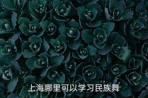 北京舞蹈学院新疆舞,中国民间舞蹈大比拼