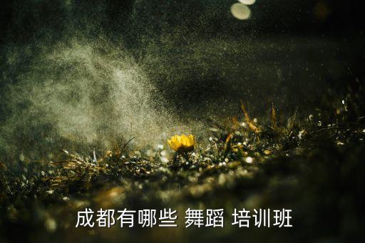 成都青羊区舞蹈培训中心,成都华府美韵美术教育培训机构挺好的