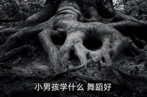 男舞蹈基本功图片,基本功扎实拉丁舞基础训练