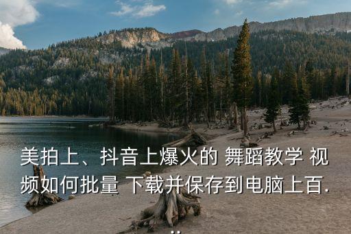 美拍上、抖音上爆火的 舞蹈教学 视频如何批量 下载并保存到电脑上百...