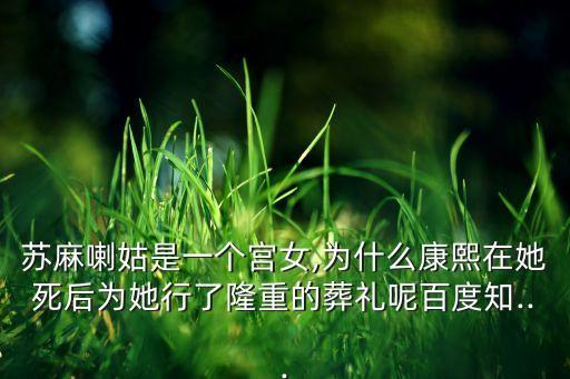 清朝宫廷舞蹈,清朝宫女人数比明朝少宫廷活动与民间习俗不同
