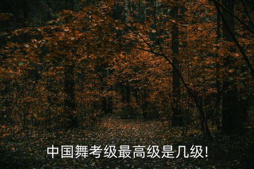 舞蹈协三级5,中国舞蹈考级最高10三级年龄限制从一岁起