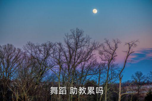  舞蹈 助教累吗