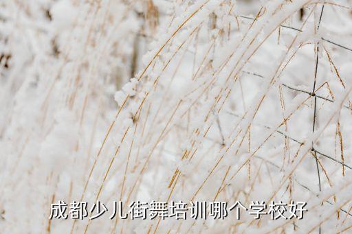  成都少儿街舞培训哪个学校好