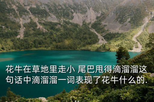 花牛在草地里走小 尾巴甩得滴溜溜这句话中滴溜溜一词表现了花牛什么的...