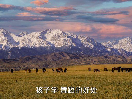 对孩子上舞蹈的感受,第二集:舞蹈是孩子的潜在教育