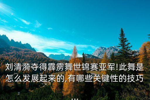 韩国首尔国际舞蹈比赛,中国霹雳舞女将刘庆义首次获奖牌
