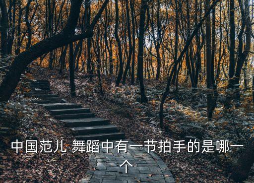 中国范儿 舞蹈中有一节拍手的是哪一个