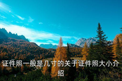 证件照一般是几寸的关于证件照大小介绍