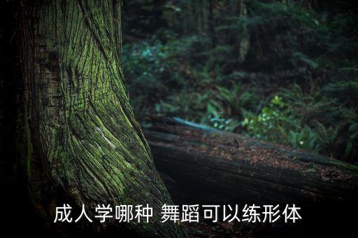 成人学哪种 舞蹈可以练形体