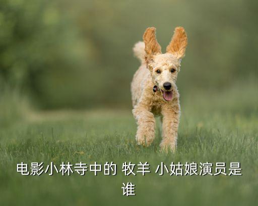 电影小林寺中的 牧羊 小姑娘演员是谁