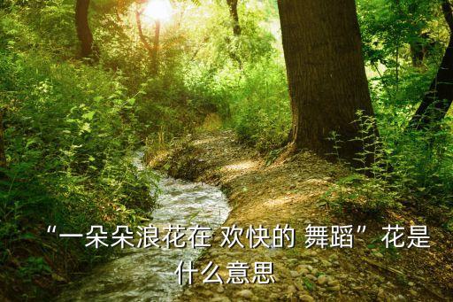 欢快的舞蹈,第二集:舞蹈是生活的象征